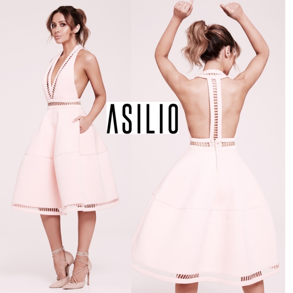 NWT The Jasmin Dress Limited Edition